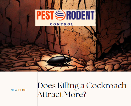 Unraveling the Mystery: Does Killing a Cockroach Attract More?