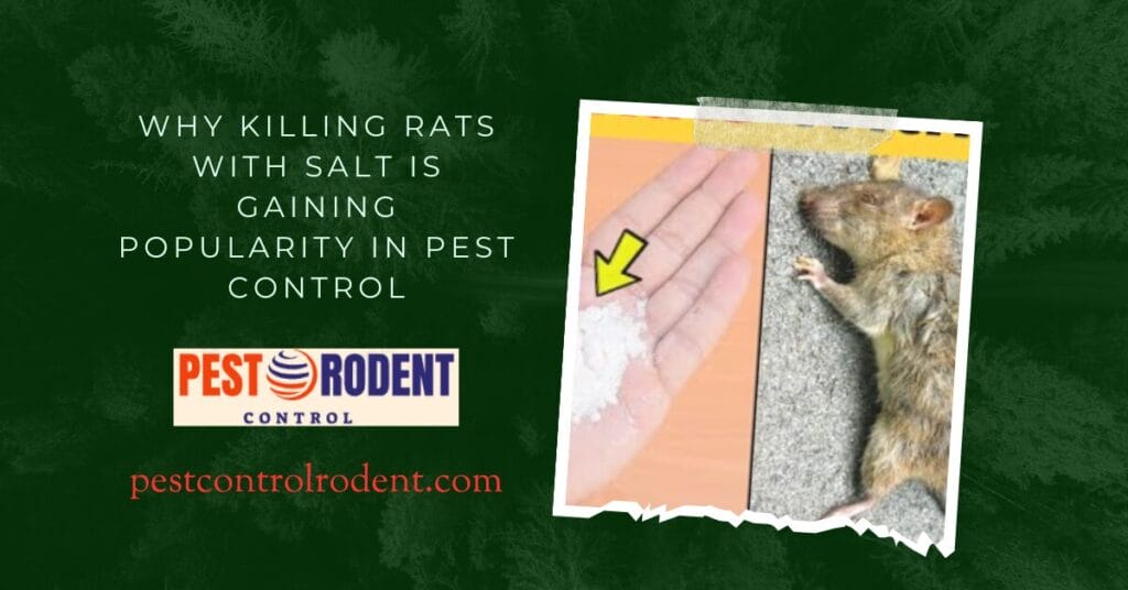 The Salt Solution: Why Killing Rats with Salt is Gaining Popularity in Pest Control