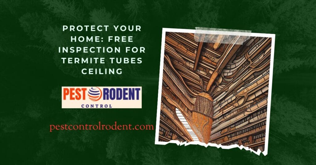 Protect Your Home: Free Inspection For Termite Tubes Ceiling