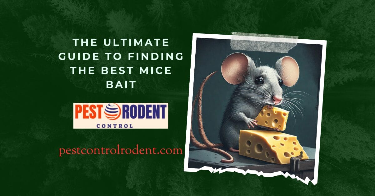 The Ultimate Guide to Finding the Best Mice Bait