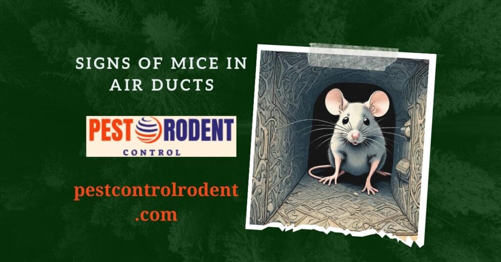signs of mice in air ducts