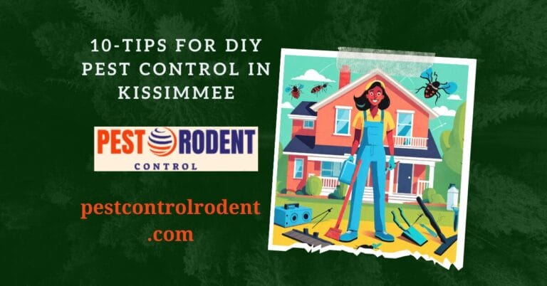 10 Must-Know Tips for DIY Pest Control in Kissimmee