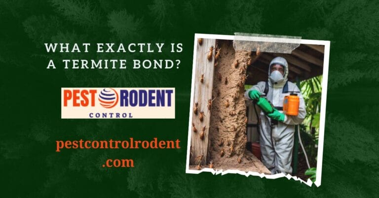 What Exactly Is a Termite Bond?