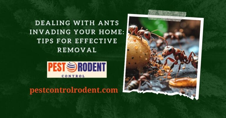 Dealing with Ants Invading Your Home: Tips for Effective Removal