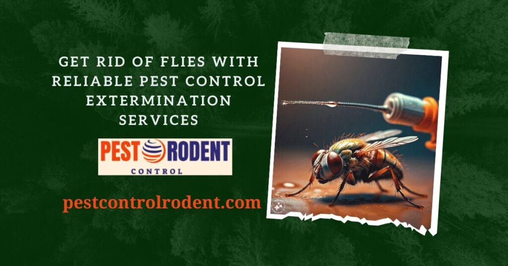 Get Rid of Flies with Reliable Pest Control Extermination Services