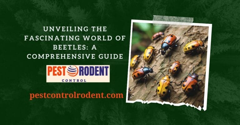 Unveiling the Fascinating World of Beetles: A Comprehensive Guide