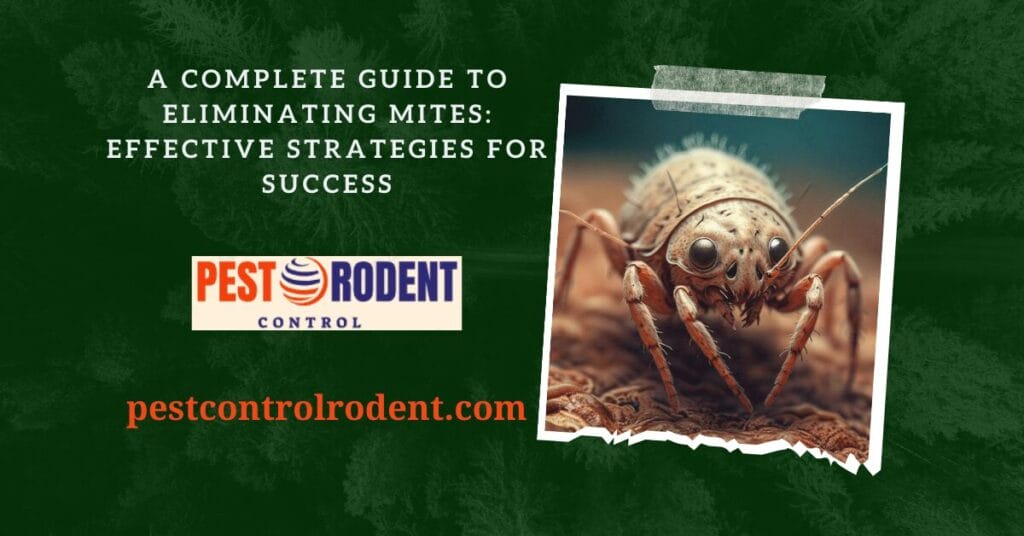 A Complete Guide to Eliminating Mites Effective Strategies for Success