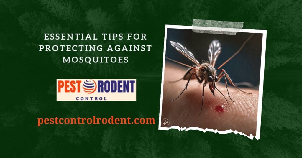 Essential Tips for Protecting Against Mosquitoes