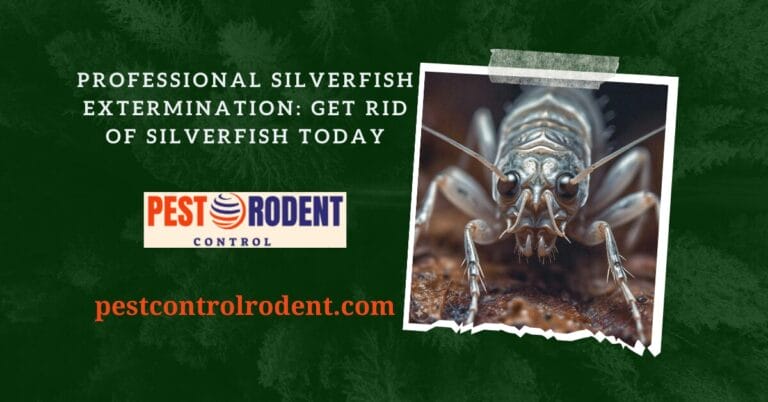 Professional Silverfish Extermination: Get Rid of Silverfish Today
