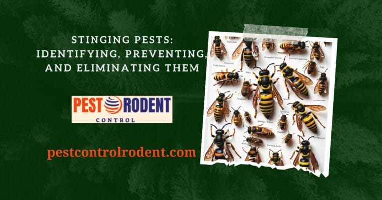 Stinging Pests: Identifying, Preventing, and Eliminating Them
